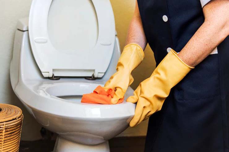 TOILET CLEANING