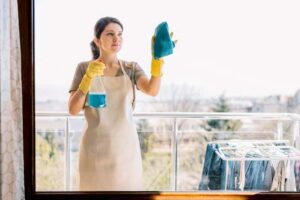 WINDOW CLEANING